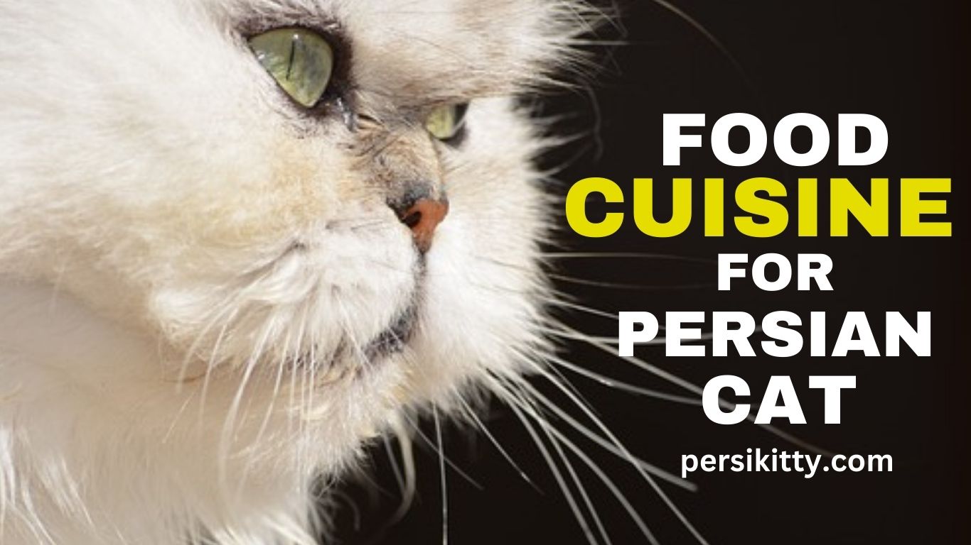 Best Foods for Persian Cats