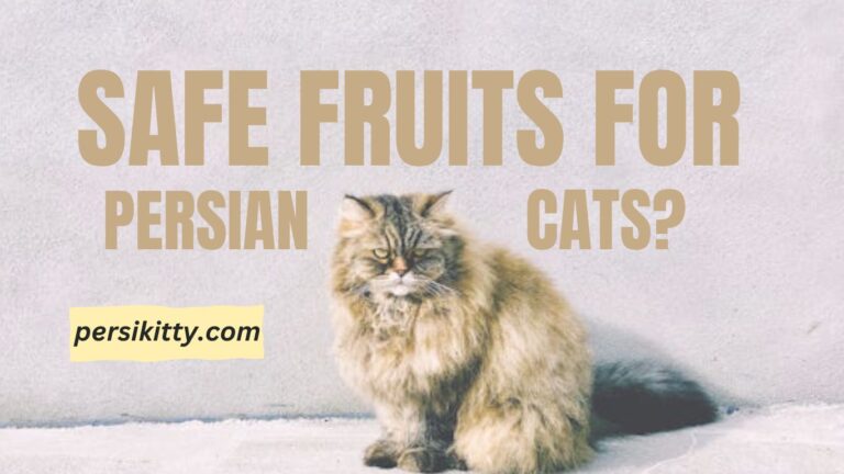 Safe Fruits for Persian Cats?