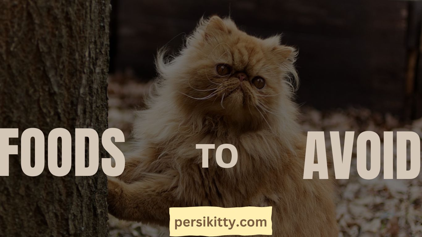 Foods to Avoid for Persian Cats