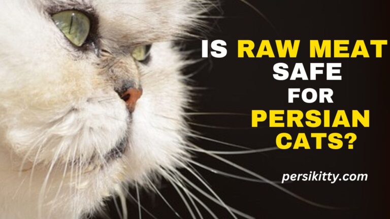 Is Raw Meat Safe for Persian Cats?