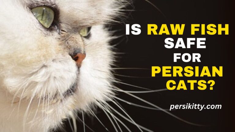 Is Raw Fish a Healthy Option for Persian Cats?