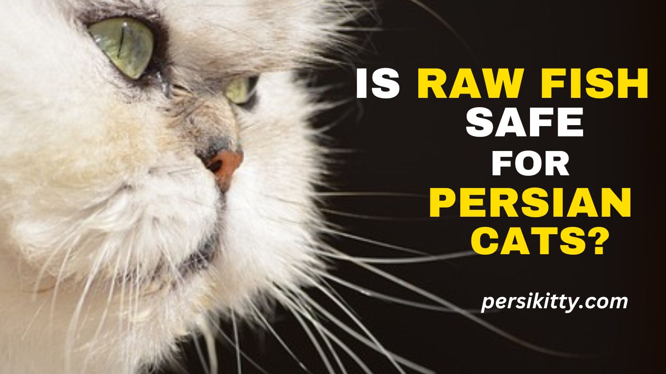 Is Raw Fish a Healthy Option for Persian Cats?